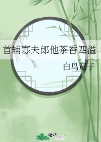 首輔寡夫郎他茶香四溢